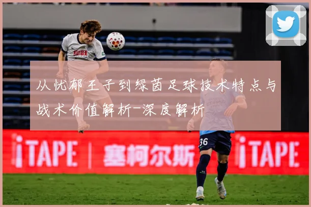 从忧郁王子到绿茵足球技术特点与战术价值解析-深度解析